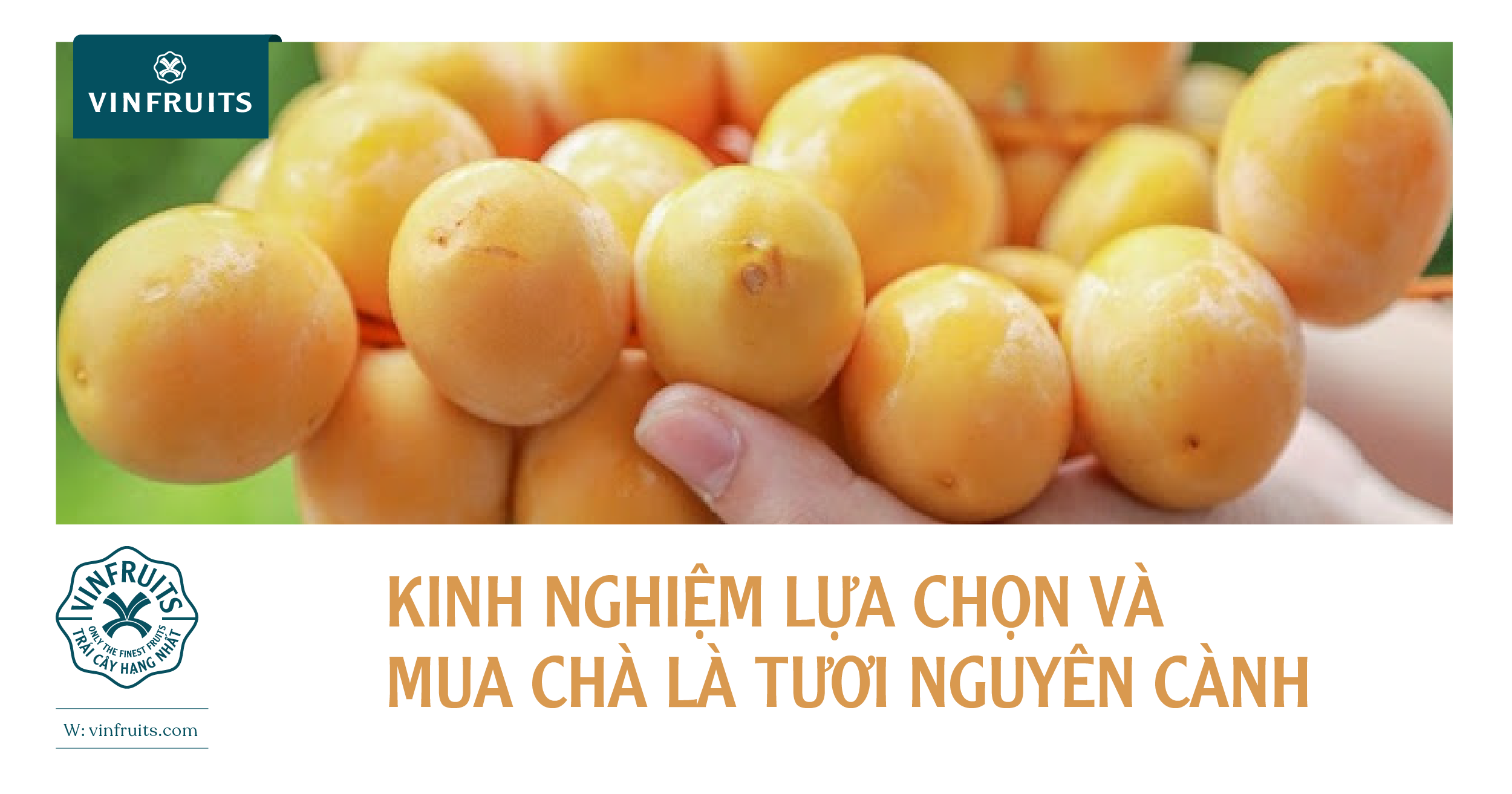 Kinh nghiệm lựa chọn và mua chà là tươi nguyên cành