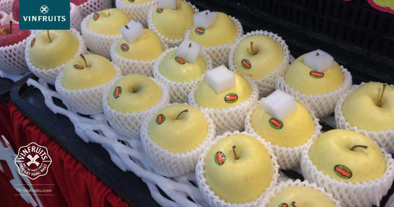 Vì sao táo vàng Nhật lại được ưa chuộng?