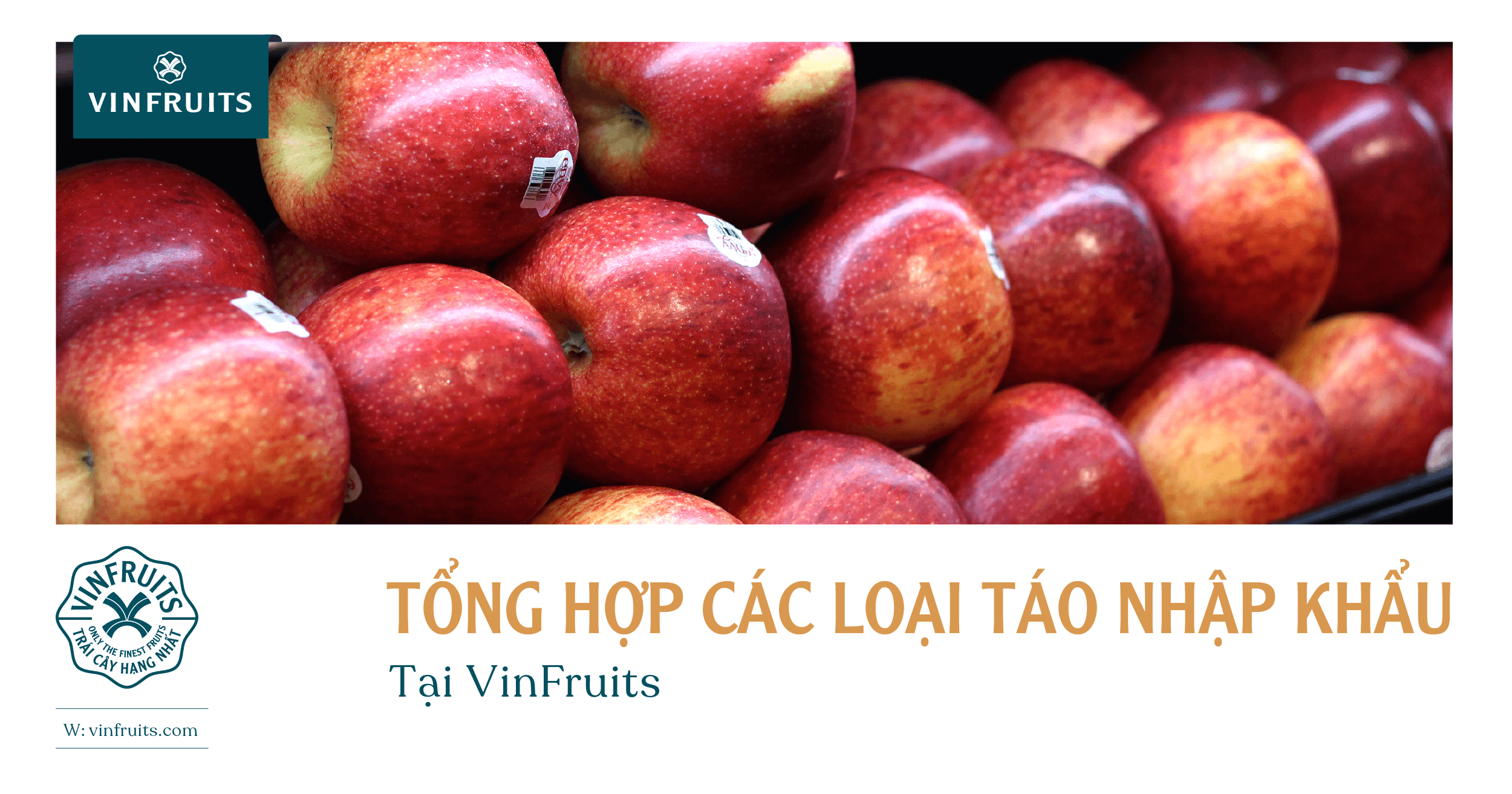 Tổng hợp các loại táo nhập khẩu tại VinFruits