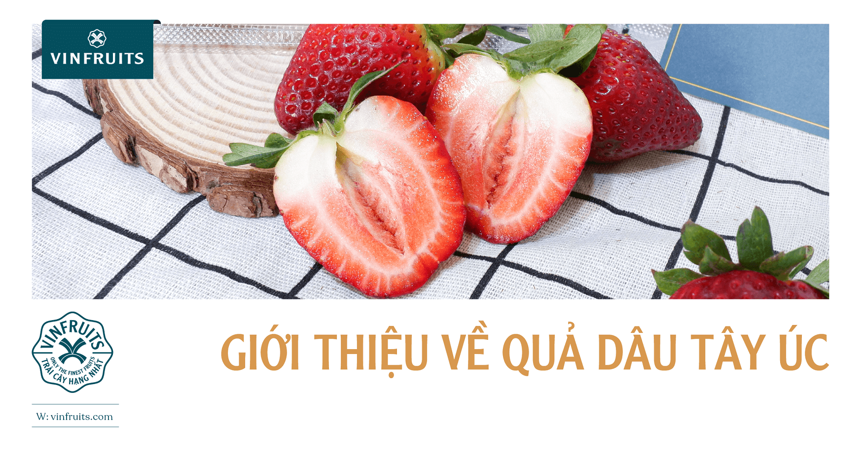 Giới thiệu về quả dâu tây Úc