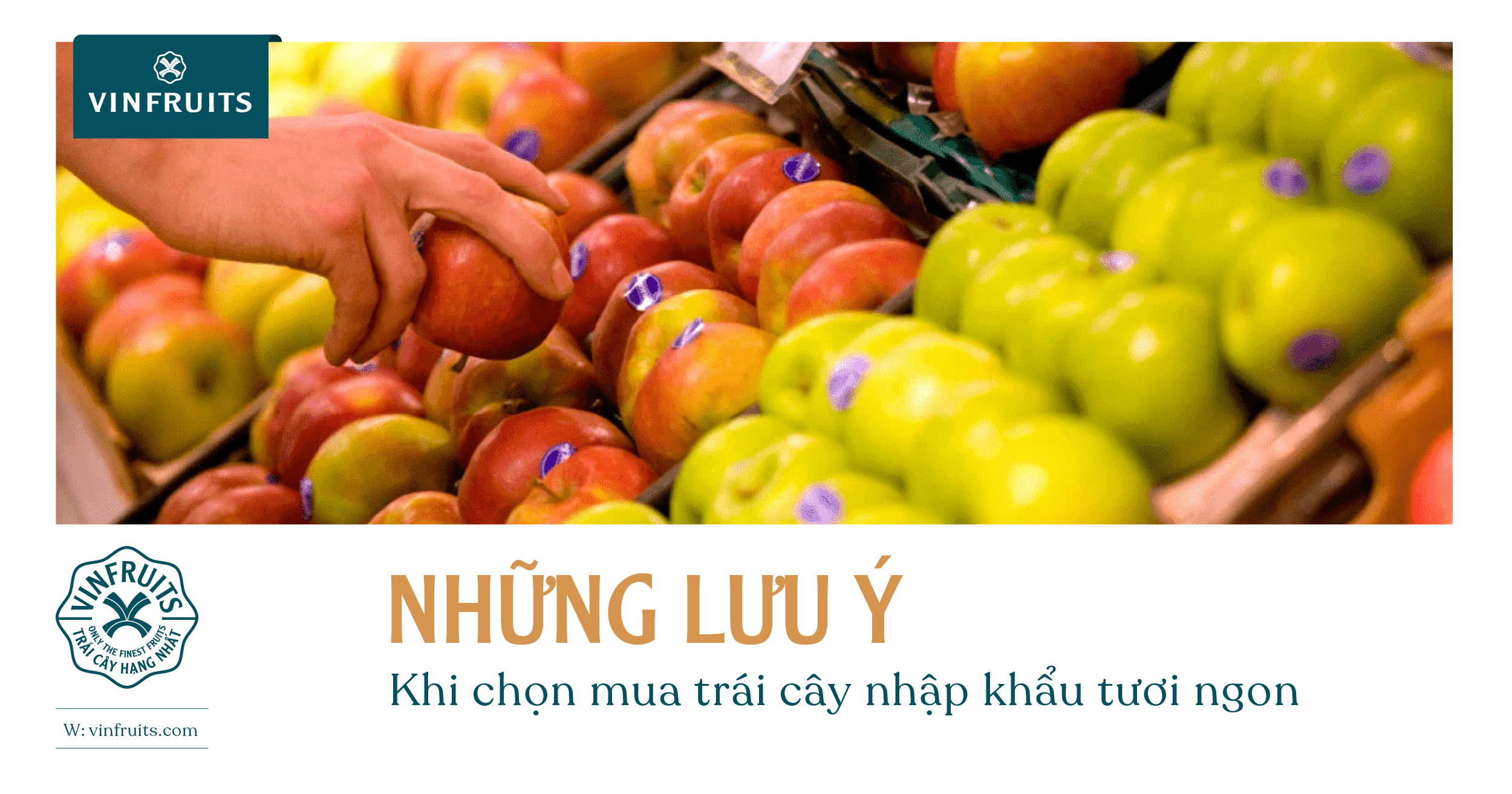 7 lưu ý khi chọn mua trái cây nhập khẩu tươi ngon