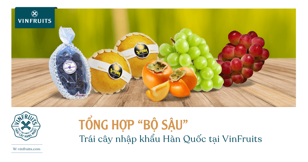 Tổng hợp “bộ sậu” trái cây nhập khẩu Hàn Quốc tại VinFruits