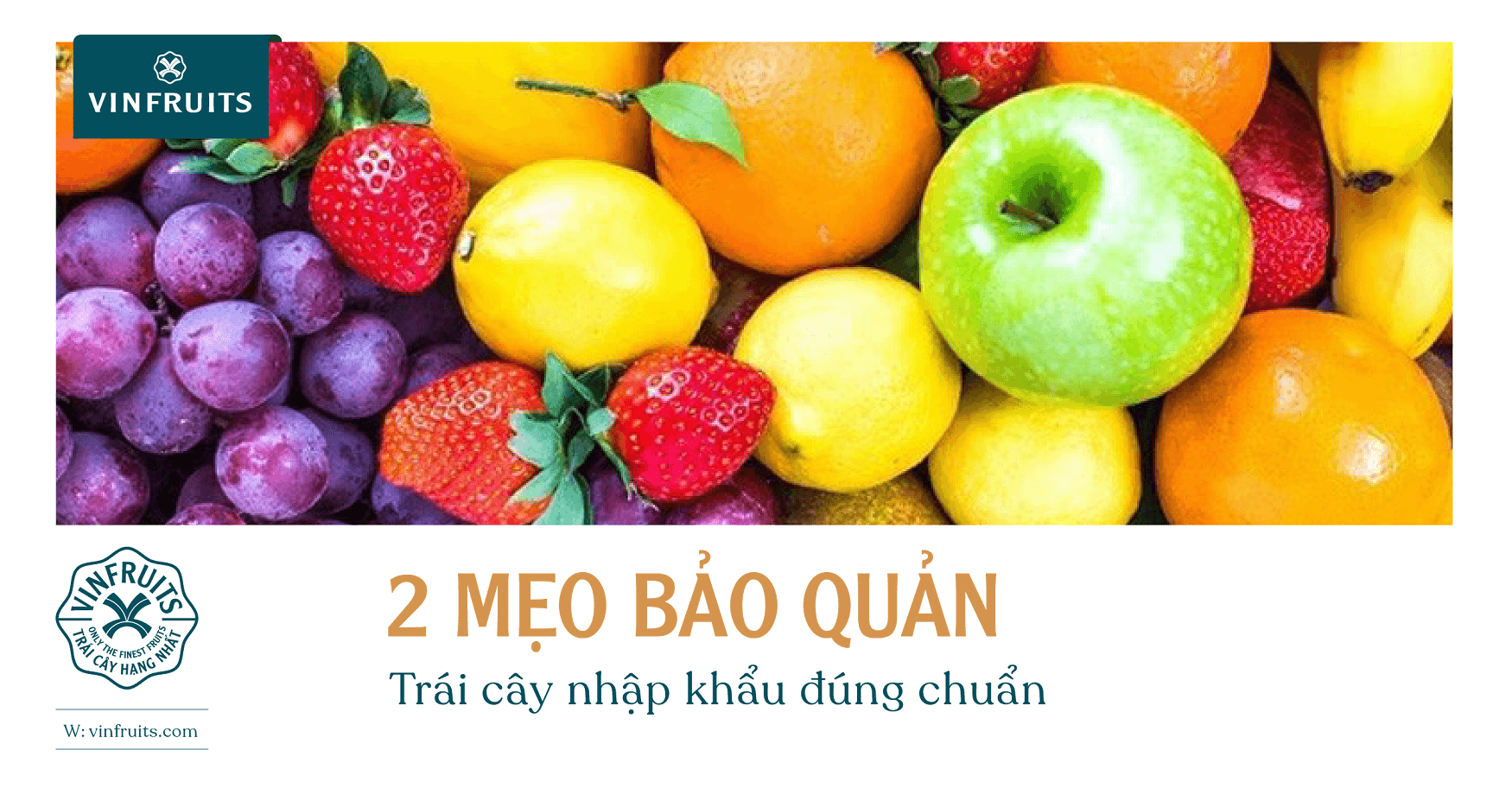 2 mẹo bảo quản trái cây nhập khẩu đúng chuẩn