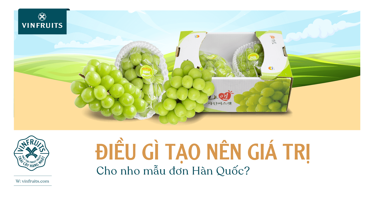 Điều gì tạo nên giá trị cho nho mẫu đơn Hàn Quốc?