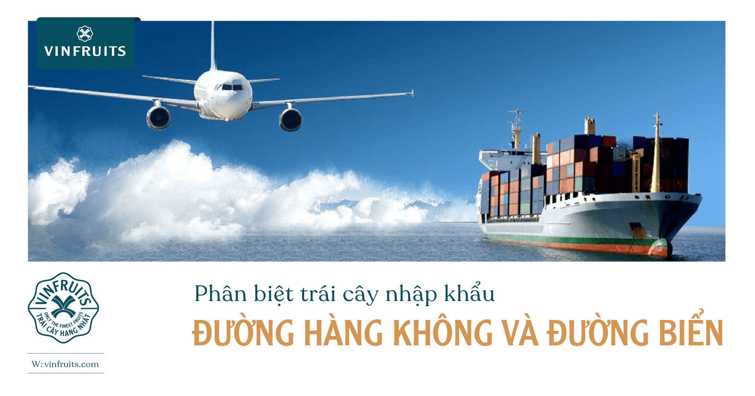 Phân biệt trái cây nhập khẩu đường hàng không và đường biển