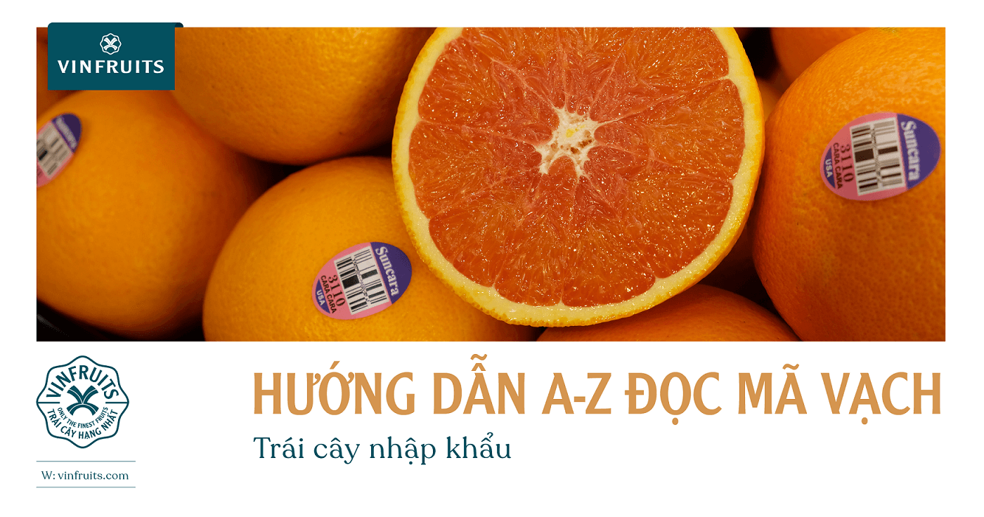 Hướng dẫn A-Z đọc mã vạch trái cây nhập khẩu