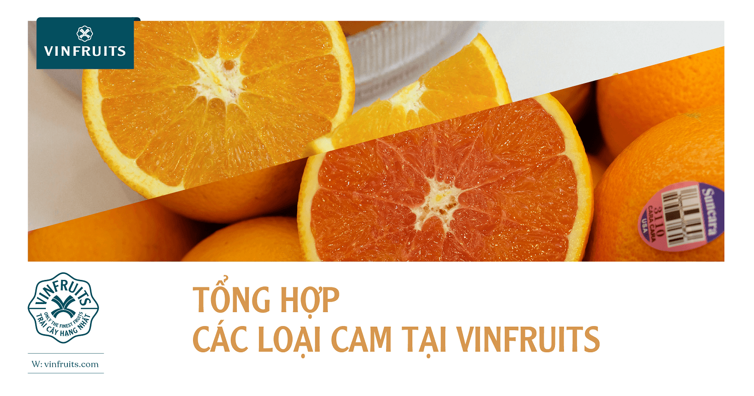 Tổng hợp các loại cam nhập khẩu ngon lành tại VinFruits