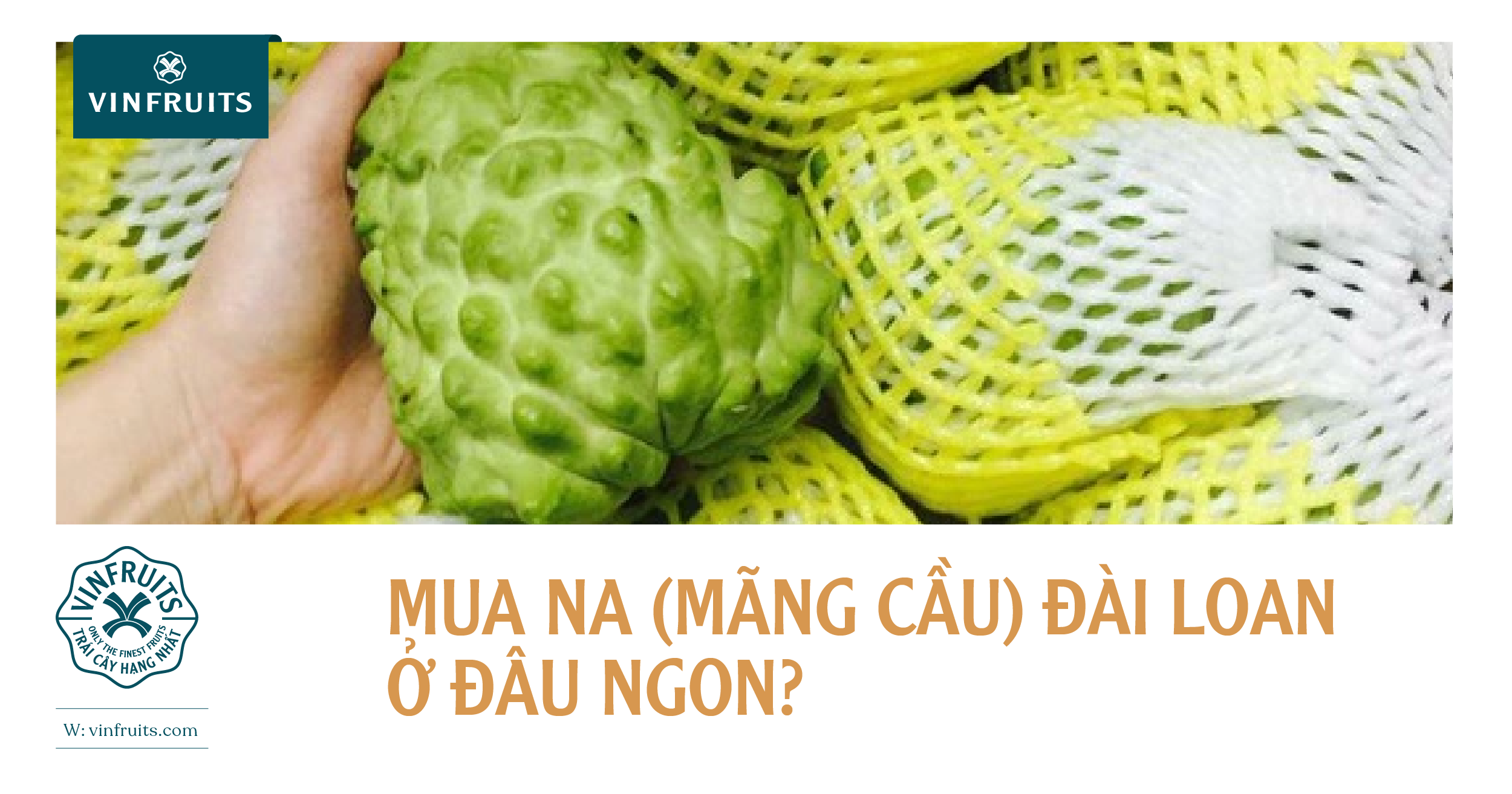 Mua na Đài Loan (mãng cầu)  ở đâu ngon?
