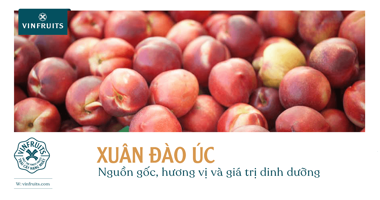 Xuân đào Úc: Nguồn gốc, hương vị và giá trị dinh dưỡng