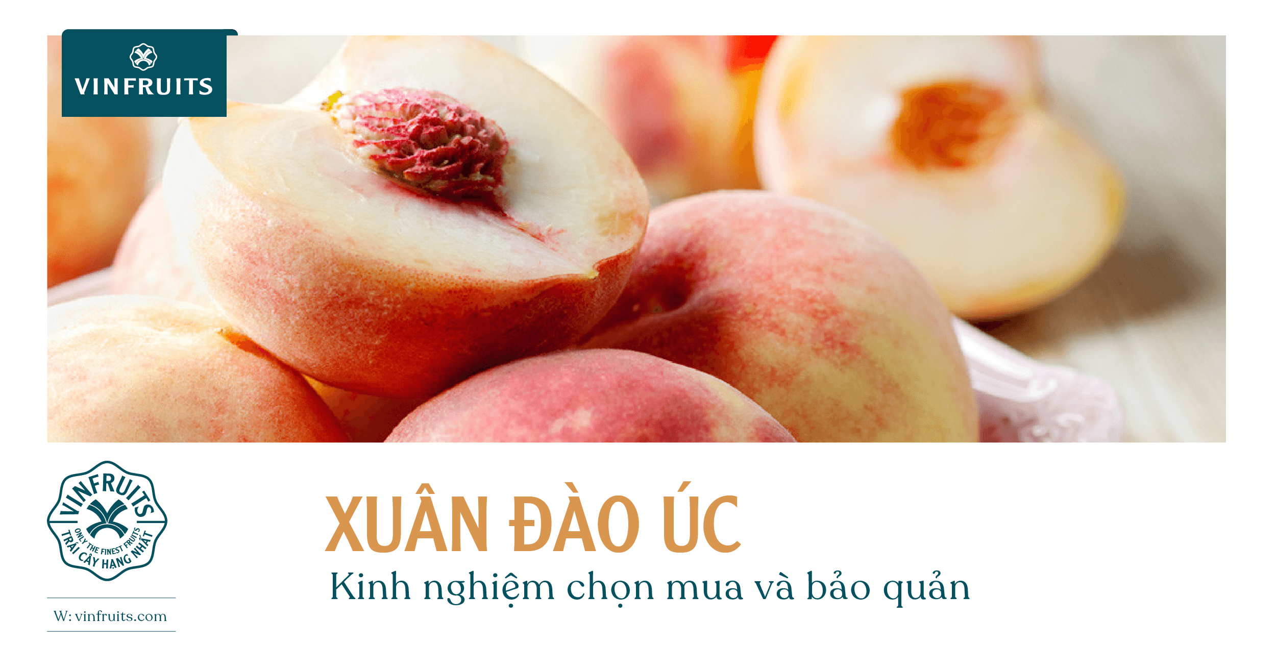 Xuân đào Úc – Kinh nghiệm chọn mua và bảo quản