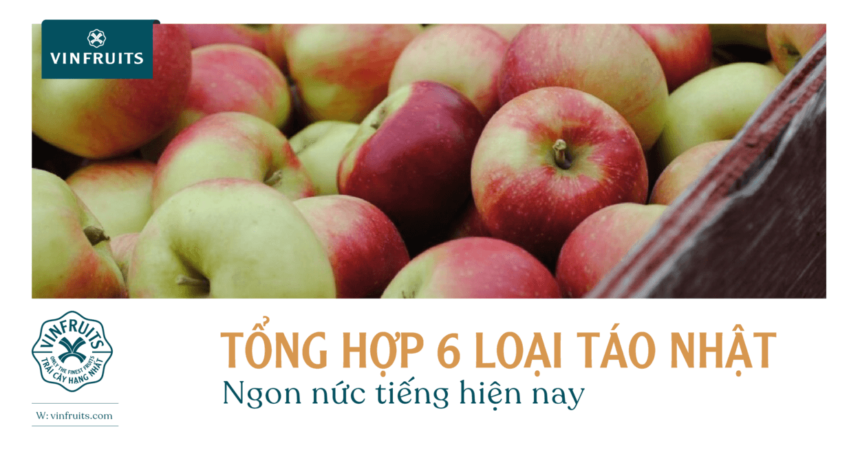 Tổng hợp 6 loại táo Nhật ngon nức tiếng hiện nay