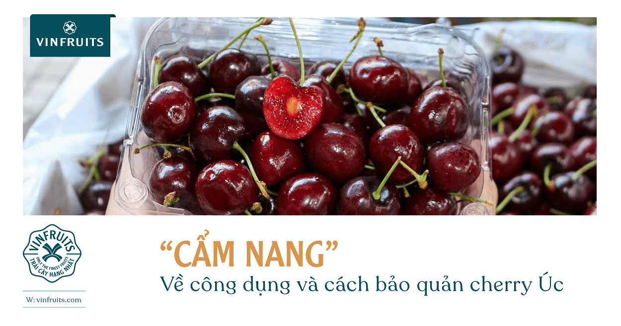 “Cẩm nang” về công dụng và cách bảo quản cherry Úc