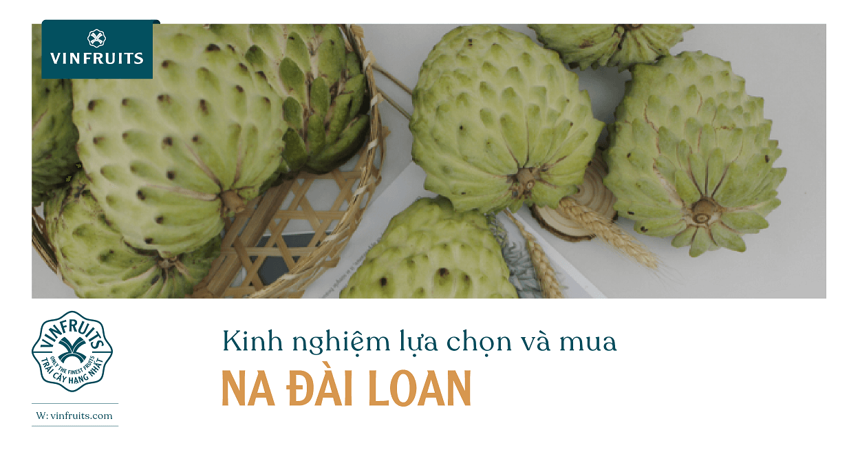 Kinh nghiệm lựa chọn và mua na Đài Loan
