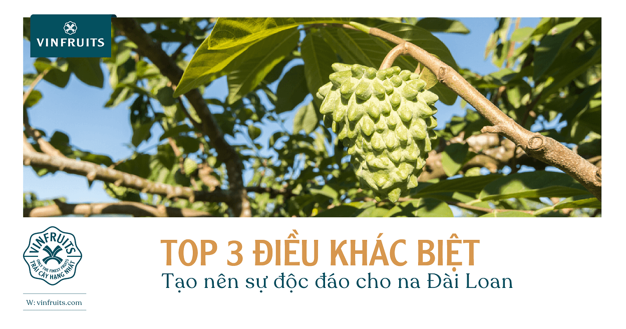 Top 3 điều khác biệt tạo nên sự độc đáo cho na Đài Loan