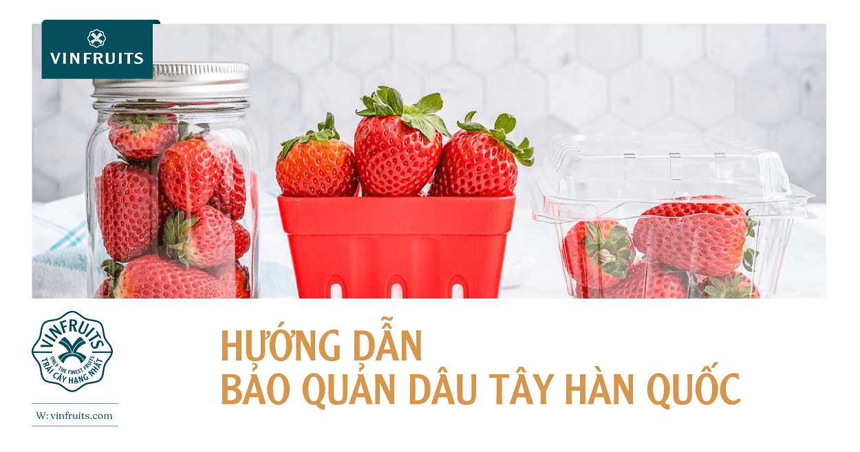 Hướng dẫn bảo quản dâu tây Hàn Quốc