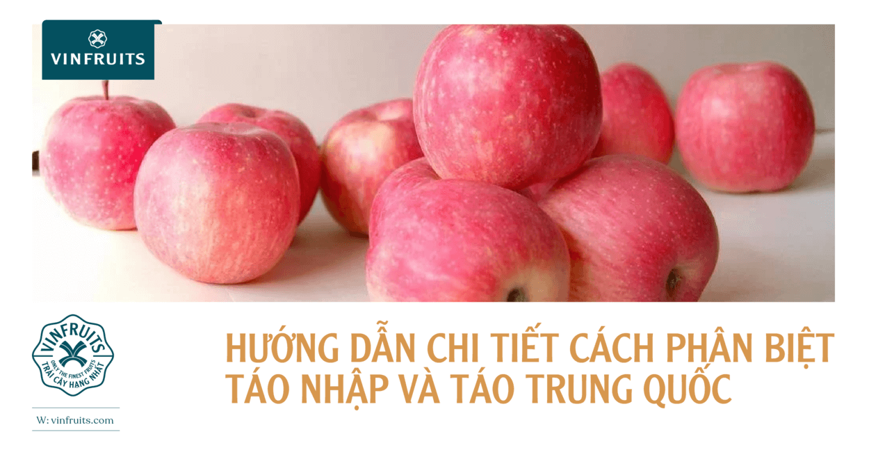 Hướng dẫn cách phân biệt táo nhập khẩu và táo Trung Quốc