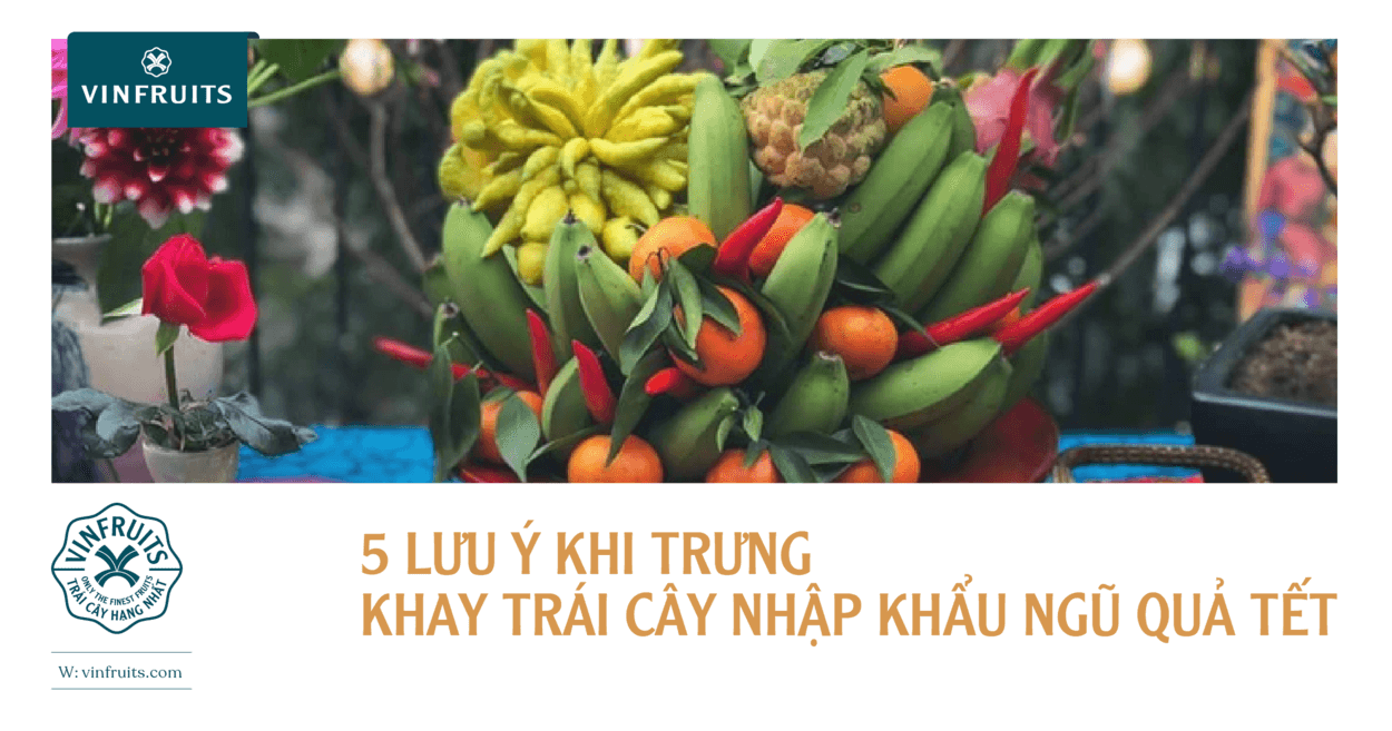 5 lưu ý khi trưng khay trái cây nhập khẩu ngũ quả Tết