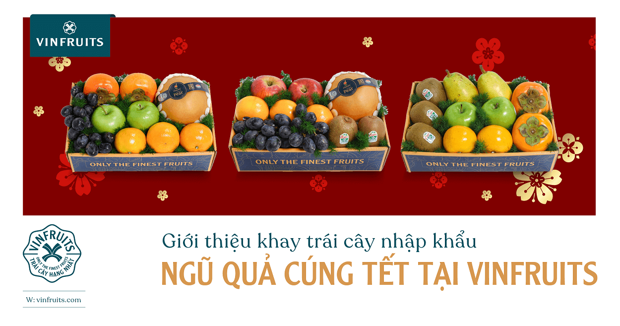 Giới thiệu khay trái cây nhập khẩu ngũ quả cúng Tết VinFruits
