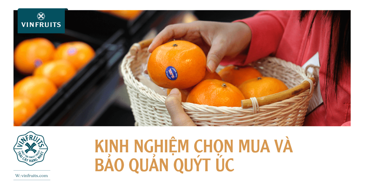 Kinh nghiệm chọn mua và bảo quản quýt Úc