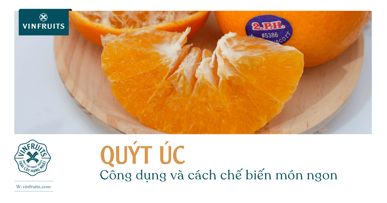 Quýt Úc: Công dụng và cách chế biến món ngon
