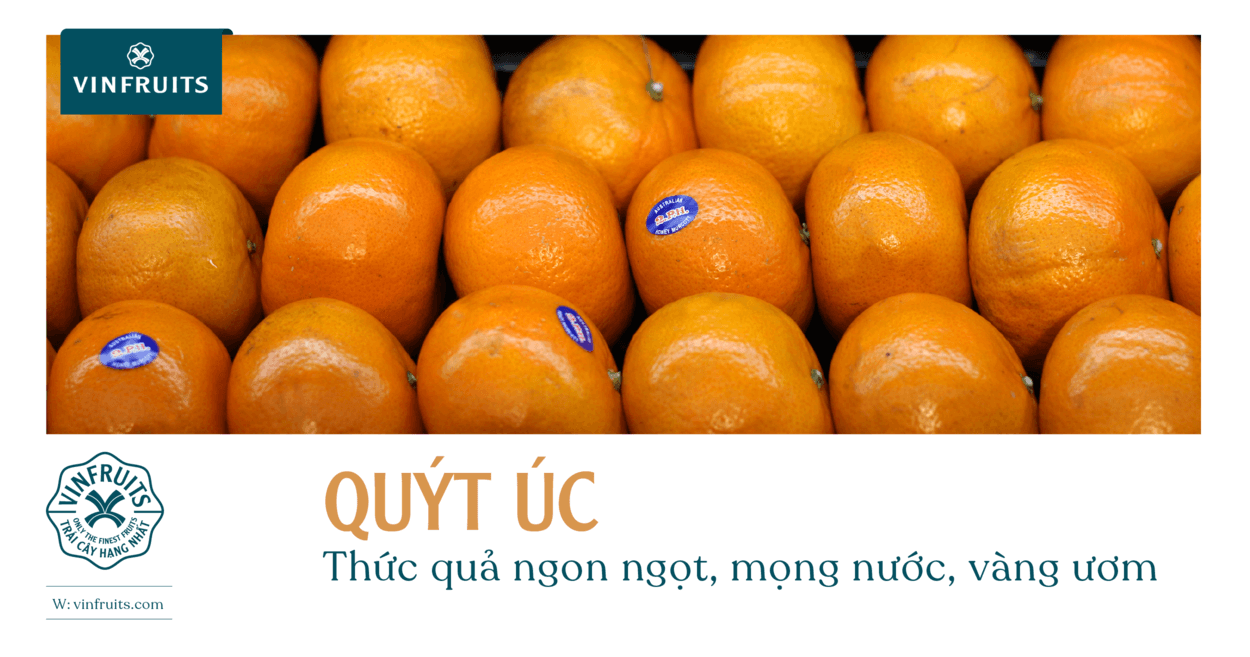 Quýt Úc – Thức quả ngon ngọt, mọng nước, vàng ươm