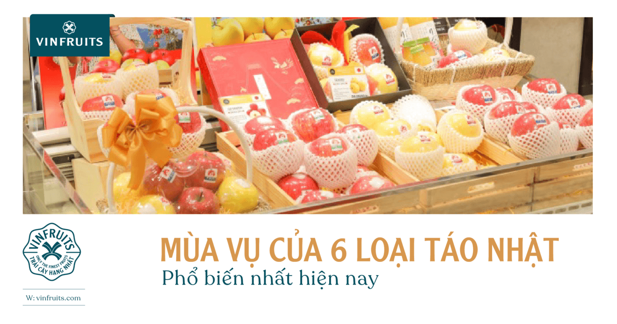Mùa vụ của 6 loại táo Nhật phổ biến nhất hiện nay