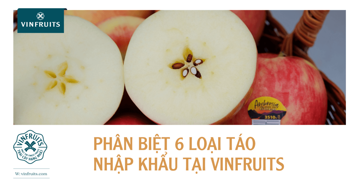 Phân biệt 6 loại táo nhập khẩu tại VinFruits