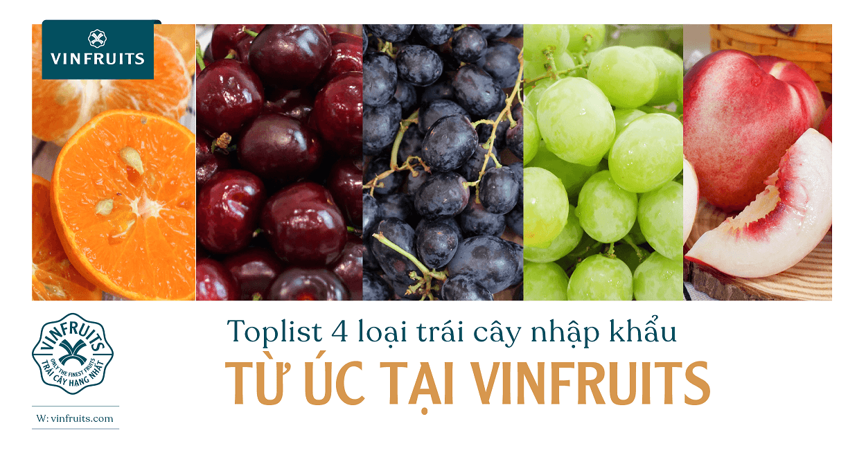 Toplist 4 loại trái cây nhập khẩu từ Úc tại VinFruits