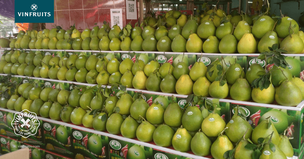 cách bảo quản bưởi da xanh ở nhiệt độ thường