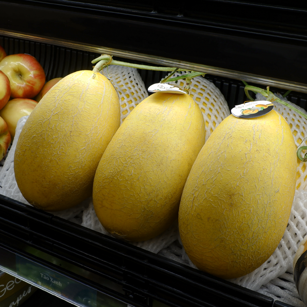 Dưa Lưới Hoàng Kim