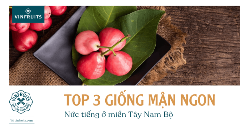 mận miền Tây VinFruits